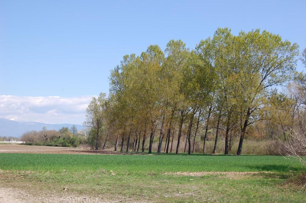 Locanda La Candola Soligo Luaran gambar