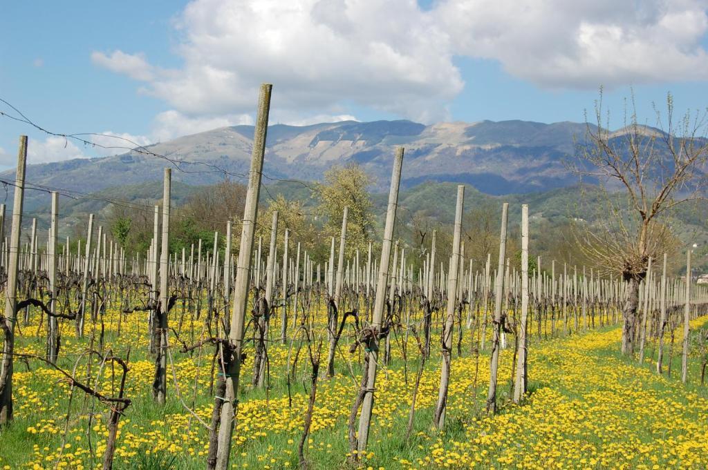 Locanda La Candola Soligo Luaran gambar