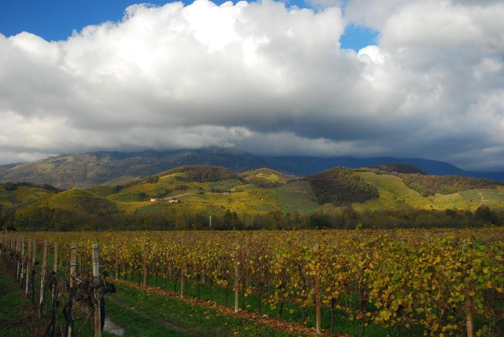 Locanda La Candola Soligo Luaran gambar
